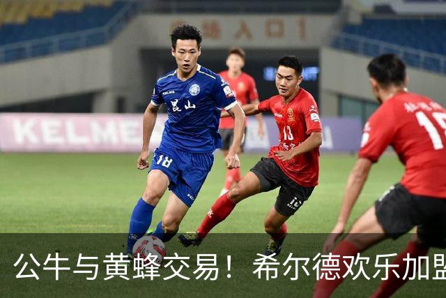 公牛与黄蜂交易！希尔德欢乐加盟，薪资差额笑中有泪